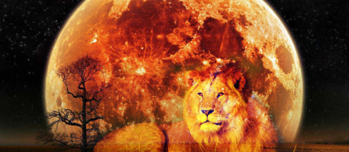 Oroscopo di domani 21 gennaio 2019 | Predizioni zodiacali e classifica: la Luna arriva nel segno del Leone