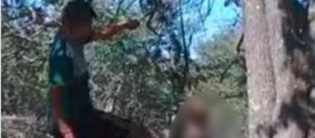 Appende il cane all'albero e lo uccide a calci e bastonate: «Non mi lasciava dormire» - Il Mattino Appende il cane all'albero e lo uccide a calci e bastonate: «Non mi lasciava dormire» - Il Mattino