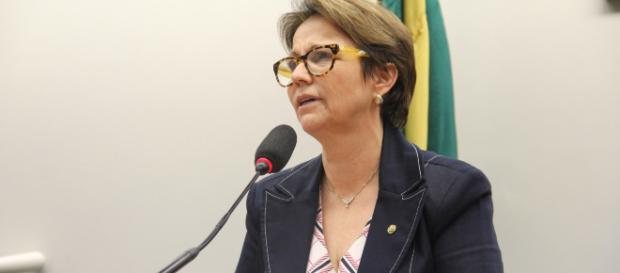 Ministra da Agricultura, Tereza Cristina (Reprodução/O Globo) Ministra da Agricultura, Tereza Cristina (Reprodução/O Globo)