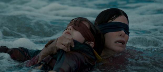 Un accident provoqué par le Bird Box challenge Un accident provoqué par le Bird Box challenge