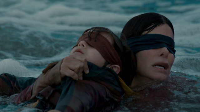 Un accident provoqué par le Bird Box challenge