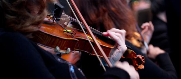 Dans un orchestre philharmonique, pas toujours évident d'accorder ses violons Dans un orchestre philharmonique, pas toujours évident d'accorder ses violons