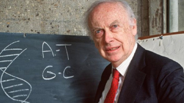 Premio Nobel nella bufera, 'I neri sono meno intelligenti dei bianchi'