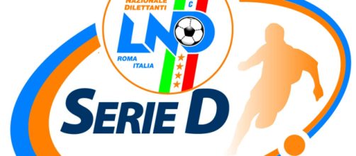 Lea Nazionale di Serie D il Logo