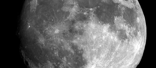 nasce cotone sulla faccia nascosta della Luna