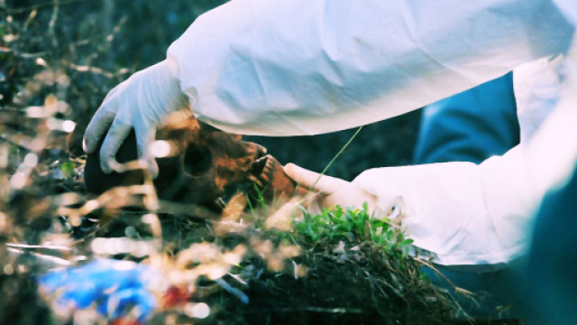 Lo scheletro &egrave; stato ritrovato dagli uomini della Forestale di Alghero.