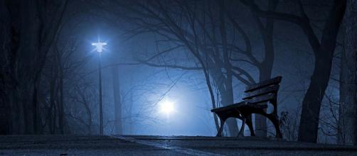 It's dark, foggy and spooky and there's a selection of horror films to watch, coming soon. [Image Pixabay]