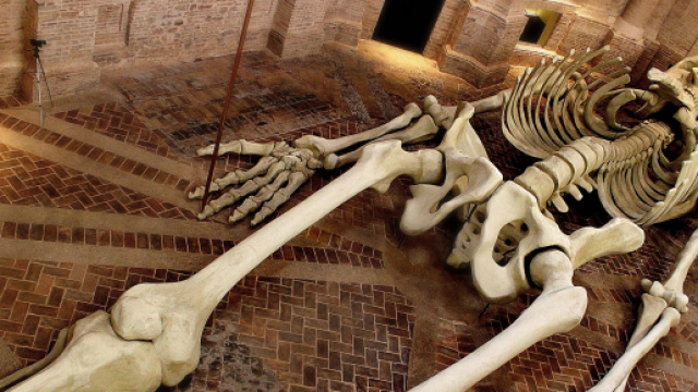 Ritrovato il corpo di un uomo a Milano.