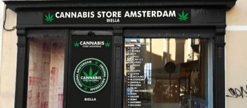 Un negozio di cannabis light in Italia