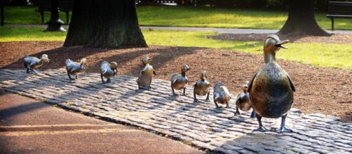 Make Way for the Ducklings in a Boston park. [Image theilr/Flickr]