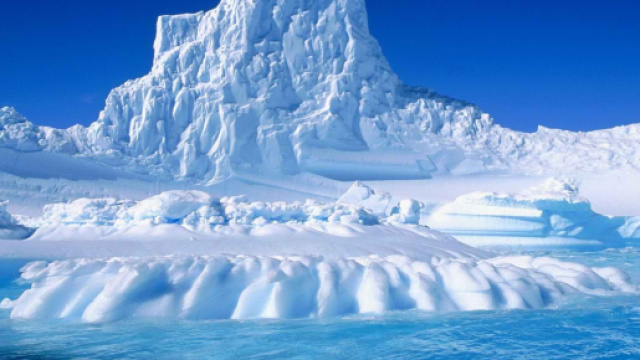 Antartide, scoperti resti di animali antichi in un 'lago perduto'