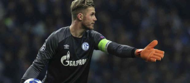 FC Schalke 04: Trainer Domenico Tedesco verbannt Kapitän Ralf ... - rp-online.de FC Schalke 04: Trainer Domenico Tedesco verbannt Kapitän Ralf ... - rp-online.de