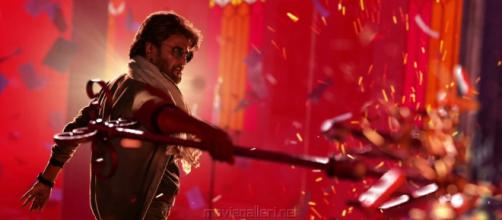 petta box office collection