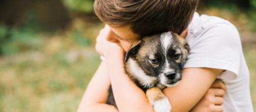 Crescer com um pet fortalece a imunidade e asseguram uma boa saúde emocional.