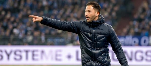 Domenico Tedesco: Zwei unterschiedliche Halbzeiten - Fußball - schalke04.de Domenico Tedesco: Zwei unterschiedliche Halbzeiten - Fußball - schalke04.de