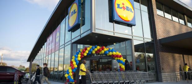 Lidl, nuovo piano di investimento in Italia: previste 2.000 assunzioni Lidl, nuovo piano di investimento in Italia: previste 2.000 assunzioni