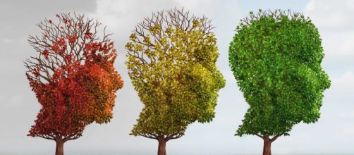 Alzheimer: un test del sangue potrebbe diagnosticarlo con anni di anticipo