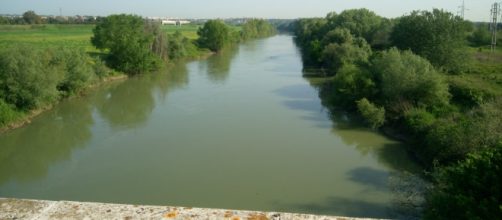 Ritrovato nel Drizzagno del Tevere un cadavere di uno sconosciuto.