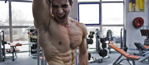 Pas besoin d'être aussi muscué que Tibo inshape sur le forum ... - jeuxvideo.com Pas besoin d'être aussi muscué que Tibo inshape sur le forum ... - jeuxvideo.com