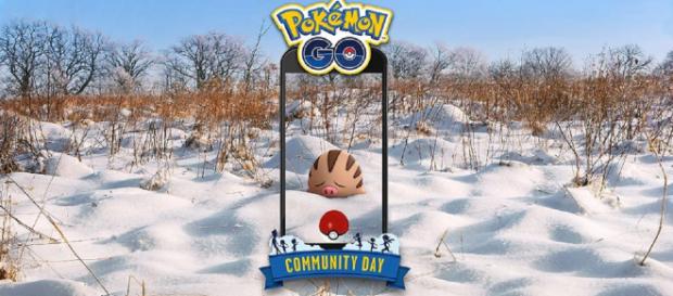 Swinub from Johto is the Pokemon for Community Day in February on 'Pokemon GO'. / Image: 'Pokemon GO' Twitter page Swinub from Johto is the Pokemon for Community Day in February on 'Pokemon GO'. / Image: 'Pokemon GO' Twitter page