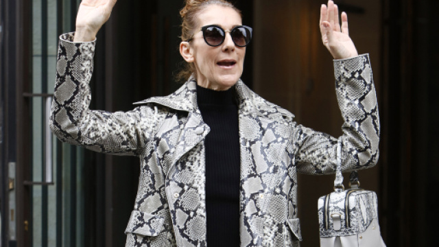 Celine Dion serait elle malade ?