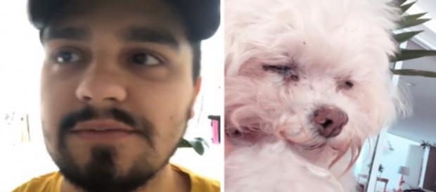 Luan Santana (Reprodução - Instagram) Luan Santana (Reprodução - Instagram)