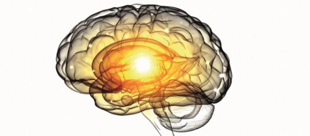 Prevención y remedios para la enfermedad de Alzheimer - Guia del ... - elalzheimer.com Prevención y remedios para la enfermedad de Alzheimer - Guia del ... - elalzheimer.com