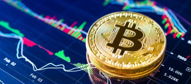 ▷ Tragico crollo delle criptovalute con Bitcoin a quota zero secondo Schumacher ▷ Tragico crollo delle criptovalute con Bitcoin a quota zero secondo Schumacher