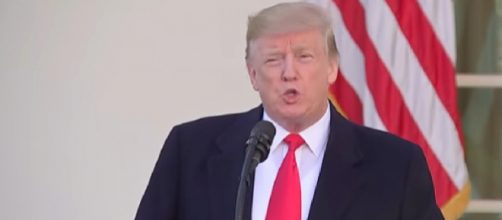President Donald Trump announces deal to end shutdown, reopen Government. [Image source/NBC News YouTube video]