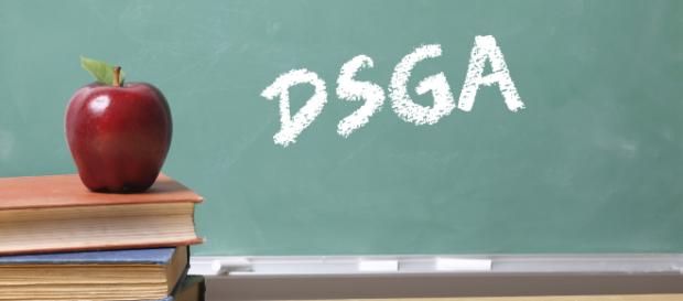 Concorso DSGA domande inviate e prova preselettiva Concorso DSGA domande inviate e prova preselettiva