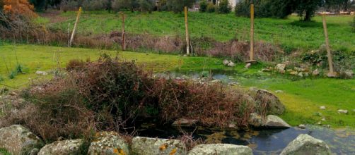 Spagna, cane si getta nel pozzo: padrone muore per salvarlo