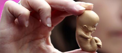 O aborto tem sido liberado em diversos lugares do mundo. Imagem: Reprodução/Japan Times