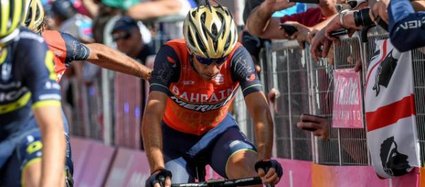 Vincenzo Nibali debutterà allo UAE Tour Vincenzo Nibali debutterà allo UAE Tour