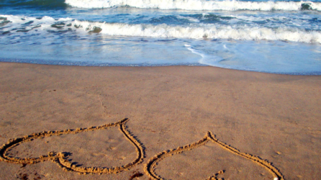 Oroscopo del rapporto di coppia del 7 gennaio.