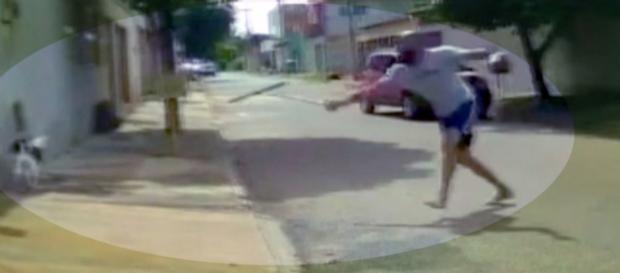 Cachorro é agredido com rodo. Fonte: G1 Cachorro é agredido com rodo. Fonte: G1