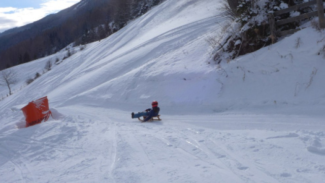 Con lo slittino contro un albero: morta sul colpo una bimba di otto anni, grave la madre.