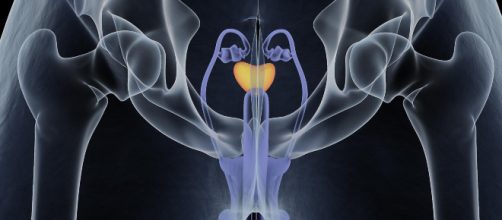 Cancro ai testicoli: alcuni campanelli d'allarme