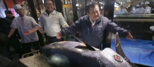 Bluefin tuna sells for a record $3.1M in Tokyo auction. [Image source/CBS News YouTube video]