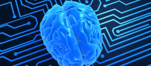Las diez claves de la neurociencia para mejorar el aprendizaje ... - educacionyculturaaz.com