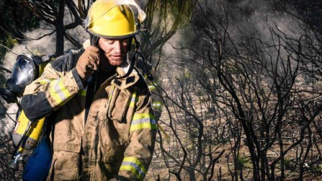 I cellulari sono troppo fragili secondo un'indagine di Cat Phones.