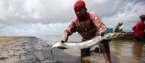 Desastre ambiental no litoral do Nordeste é o maior registrado no Brasil e afeta pesca e fauna marinha. (Arquivo Blasting News)