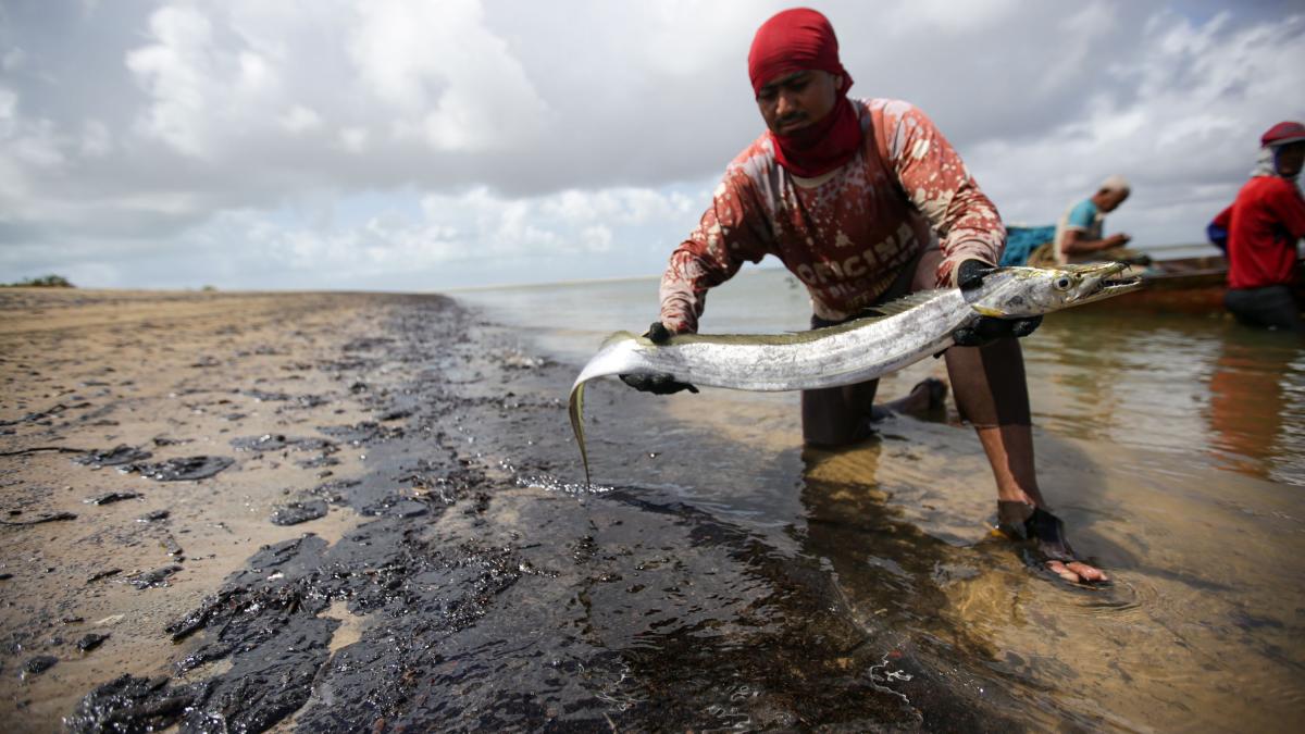 Resultado de imagem para PESCADORES PREJUDICADOS PELAS MANCHAS DE OLEO