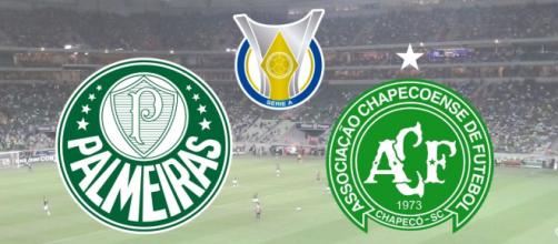 Palmeiras x Chapecoense: transmissão ao vivo no PFC, nesta ...