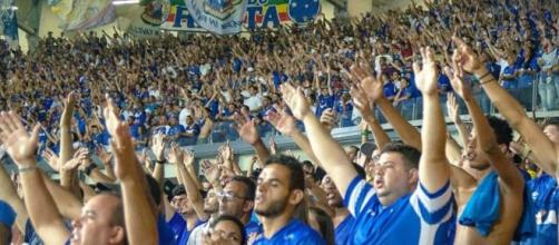 Cruzeiro busca reagir no campeonato contra o São Paulo. (Reprodução/Instagram/@cruzeiro/@_andrelaraujo)