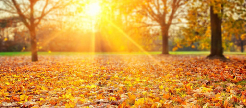 L'oroscopo del giorno 23 ottobre, da Bilancia a Pesci: il Sole transita in Scorpione