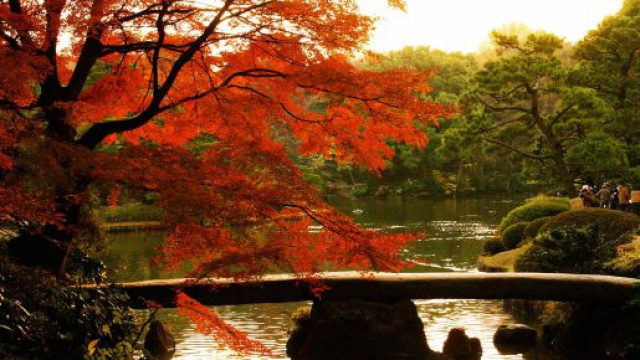 L'autunno in Giappone: è il momento del momijigari.