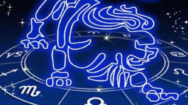 Previsioni oroscopo per il mese di novembre per i nativi Leone