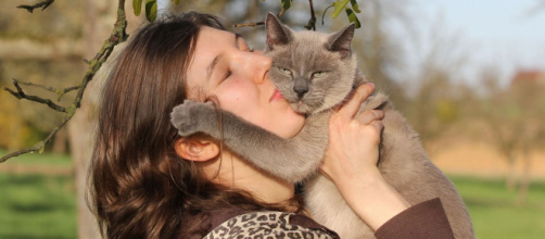 5 signes qui prouvent qu'un chat est stressé