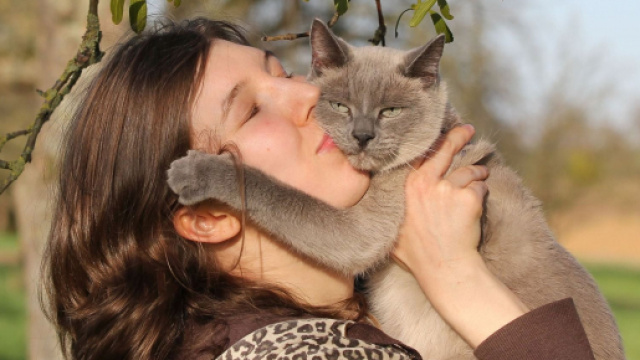 5 signes qui prouvent qu'un chat est stress&eacute;