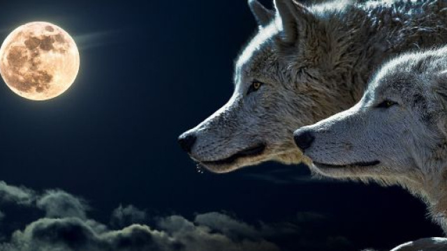 L'oroscopo dell'amore di coppia del 29 ottobre